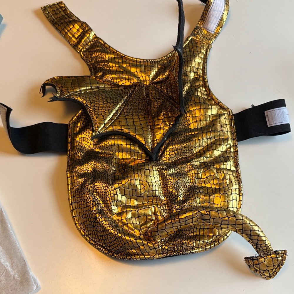 Gold Dragon Costume for Pets